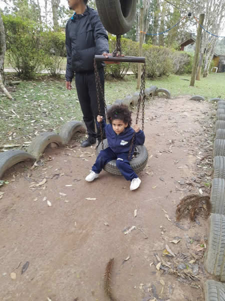 Bicho Mania 2022